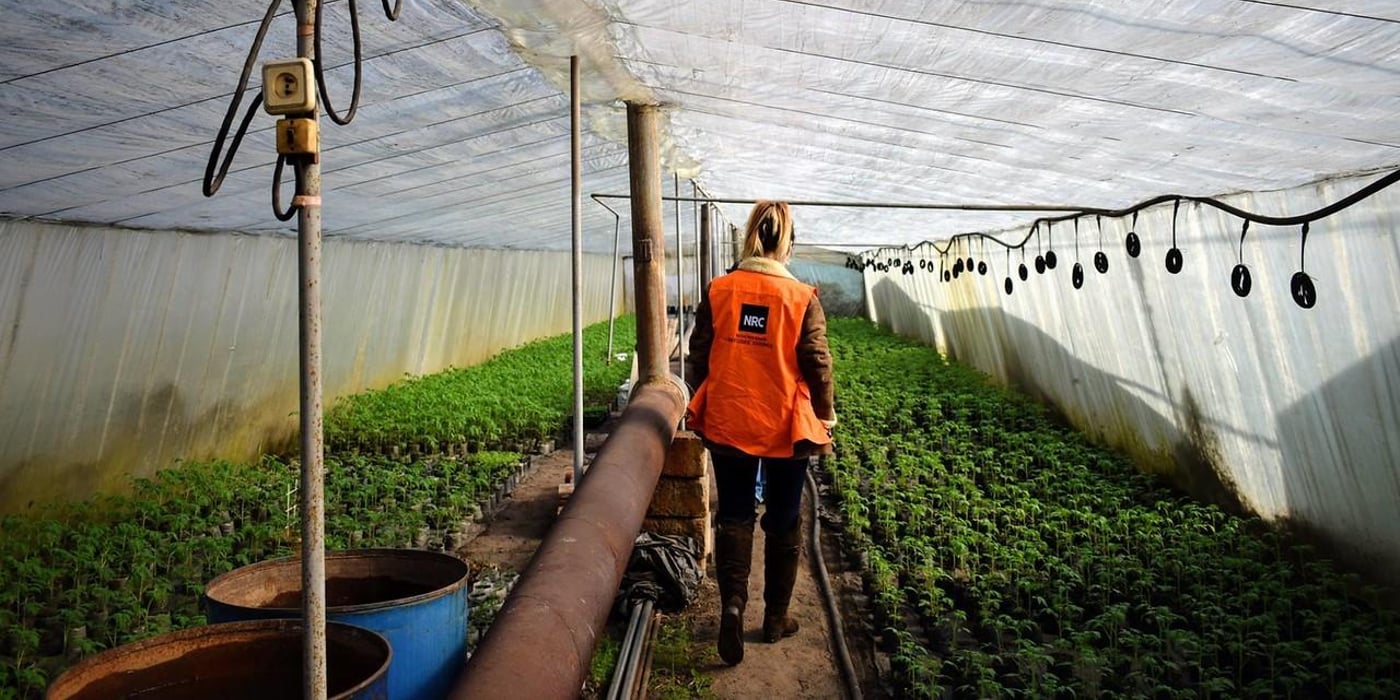 FS&L team visiting one of greenhouse farming families in Valuiske supported last year with energy efficient stove. Heating is essential to get early yield, but high prices for fuel makes greenhouse farming sacrificial. Head of household Aleksandr, installed a fan to improve hot air flow.
On the photo: Anna Reshetova NRC Business Development Technical Officer in the greenhouse
Photo: NRC/Aleksandr Sheludenkov