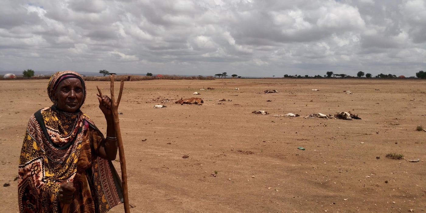 Drought affecting more than 10,2 million people in Ethiopia. This woman is in the Sitti zone of the Somali region.