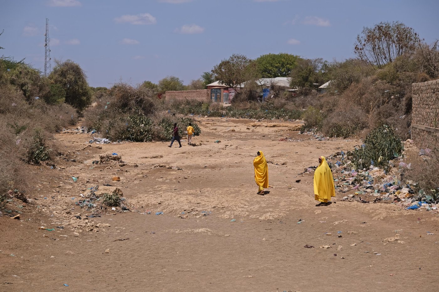 Snapshots from a drought destroying lives