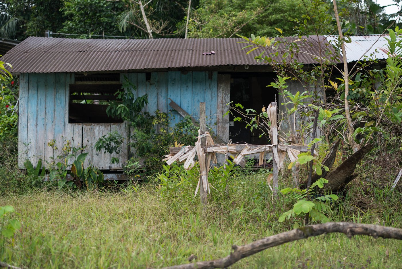 The former house of Jhoana and her family in the village where the armed attack took place. The two crosses symbolise the death of Jhoana's two brothers.
Jhoana, 20 years old, and her family had to flee after an armed attack in her village. Two of her brothers and her two cousins where killed. All male youth.
Jhoana grew up in a small village along the river in the region of Chocó, Colombia. She loved playing with her siblings and cousins, walking in the bush and went swimming. Her dream was to study veterinarian because her passion for animals. Her dream got tossed when the community repetitively was threatened and they eventually had to flee.
Armed attack
It was an ordinary day in March 2017 when Jhoana and other women were celebrating women’s day. The remaining village, mostly males, continued their normal activities when all of a sudden an armed group attacked. That night Jhoana couldn’t sleep due to nightmares and not knowing the extent of the attack and not being able to go back to the village before the next day.
The next day they witnessed several dead and wounded youths and she was devastated. Not one, but two of her elderly brothers had lost their lives. One where tied up and the other one was laying dead on a rooftop with rain poring down on the body. Furthermore, two cousins and a family friend, all young, and all males also lost their life’s.
Today, the village is abandon and appears more like a ghost town. Jhoana and her family are now too afraid to return to their village because of the uncertainty that follows and if another armed attack will happen again.
Life today
Now, her daily activities are restricted to short trips; when she leaves the house, she does not go far and she coordinates her trips with relatives. A common daily activity can consist of meeting her cousins at the pier and watch them swim. Or, she will only hang out in their house. At home, where she spends most of her time, she writes her diary to cope with the armed attack and the loss of her two older brothers. She also does her homework in secondary school, or, she helps her mom with cooking and takes care of her 12-year-old niece, Yurani, that lost her dad in the armed attack. She now feels that she has to support her family because her parents are old and the two oldest brothers are gone.
She continuously strives to stay positive and cope with the armed attack. “With the heart broken I have to be brave. Forget bad things and bring positive things. Even with this pain, I want to get ahead. I have to fight for positive things to happen”.
Hopes for the future
The only way she can fulfil her dream and help her family is to leave the village and continue studying, but there is no money to study for. “I now have a 12-year old niece and I would like to be a good example for her. My nieces father was killed in the armed attack and her mother died due to illness prior. Thus, if I go on to study and build my life I will then get a good job and she will hopefully acquire strength to achieve the same”.
Jhoana is hoping for peace in Colombia, but she is not sure if that will happen. She has realized that there is no future in the village she is displaced and the road is unfortunately short for youth to armed groups and drugs. Thus, she believes the path lies in education and underline the importance to reach a common agreement in peace in order to progress the country.
Message to youth
“If you want something you can achieve it, therefore you should proceed it”. “Even if someone hurts you, you have to be strong and get ahead”. She continues, “while you are alive you have to be brave, even if you smile outside and cry inside we should proceed with our dreams”.
“Don’t believe in negative things, don’t fall into bad vicious, be ambitious in a positive matter, and fight for the future and don’t be defeated”.
Photo: Beate Simarud/NRC
NRC in Colombia
- NRC has been present in Colombia since 1991.
- NRC currently counts on 19 field offices in order to provide assistance to internally displaced and Colombians seeking international protection in the neighbouring countries.
- About 100.000 people benefited in 2017 from NRC´s programs (information, counselling and legal assistance (ICLA), education, regional refugee program and the roving capacity unit). Budget forecast 2017: 97.6 million NOK
- Strategic priority for 2018 continues to be to address displacement and emergency related protection gaps and humanitarian need when the state is unable or unwilling to fulfil its obligations. The peace accord will increase the likelihood that durable solutions can be sought with more vigour. NRC will in this context increase efforts to contribute to durable solutions, both in Colombia and in neighbouring countries.
Key facts
• Humanitarian and protection challenges continue in Colombia. A six decade-long armed conflict has given Colombia the most prolonged and serious humanitarian crisis in the Americas. In total, more than 7.4 million people are forcibly displaced in Colombia by the conflict.
• Since the signing of a peace agreement between FARC-EP and the government in November 2016, about 200,000 people have been displaced (nov 2016 – august 2018) – the equivalent of one person every 5 minutes. Rights defenders, indigenous and Afro- Colombian leaders, and other community activists face threats, killings and violence. Perpetrators are rarely held accountable.
• There are more than 191,622 Colombians refugees and in need of international protection in neighbouring Ecuador, Panamá and Venezuela, according to UNCHR.
• Forced displacement increased in 2018. During the first semester group displacement increased 112 % in comparison with the previous year (2017).
• During 2018, there was an increase (31 %) in the number of attacks against the civilian population, compared with 2017. Threats continue to be the primary mean of attack against the civilian population, although there was a growth in the number of homicides and intentional injuries targeting persons who were under state protection schemes.
• 9 in 10 people displaced by Colombia's civil war have not yet received compensation promised for crimes committed against them. Over 8,7 million Colombians are registered with the Government’s National Unit for Victims. However, only one out three applications for compensation by the 2011 Victim’s Law in Colombia has been approved. Despite GOC efforts allocating important resources ensure the implementation of the law, the efforts needs to be increased.
• During 2018, 77 % of the people recorded in massive displacement events belongs to farmers, 11 % indigenous and 11 % afro Colombian communities.
• The peace agreement between FARC-EP and the Colombian government is a positive development, but the dynamics of armed conflict and other forms of violence are in flux. Other irregular armed groups have increased their actions in the shadow of the ceasefire, and the clash with these groups is causing the majority of new humanitarian needs.
• NRC recorded 22 events that affected the continuity of thousands of children attending classes during the first trimester of 2018. 7 IHL serious violations against schools have been reported in the first semester of 2018 and forced recruitment into armed groups appear to increase this year.
• Of the total resources requested (156.5 Millions) by the Country Humanitarian Team, only 22 % has been financed (OCHA July 2018)