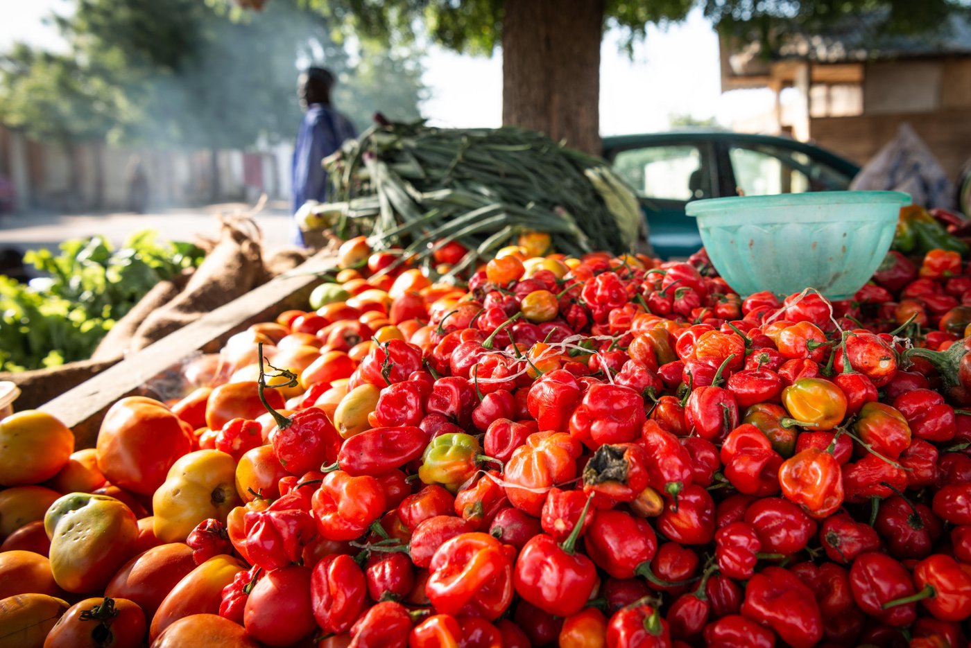 Fruit salesman, Babagana Malam Idrissa (35), in Maiduguri, Nigeria. 2018
Photo: Beate Simarud/NRC
