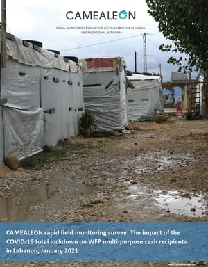 CAMEALEON rapid field monitoring survey: The impact of the COVID-19 total lockdown on WFP multi-purpose cash recipients in Lebanon, January 2021