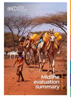BRCiS: Midline evaluation summary