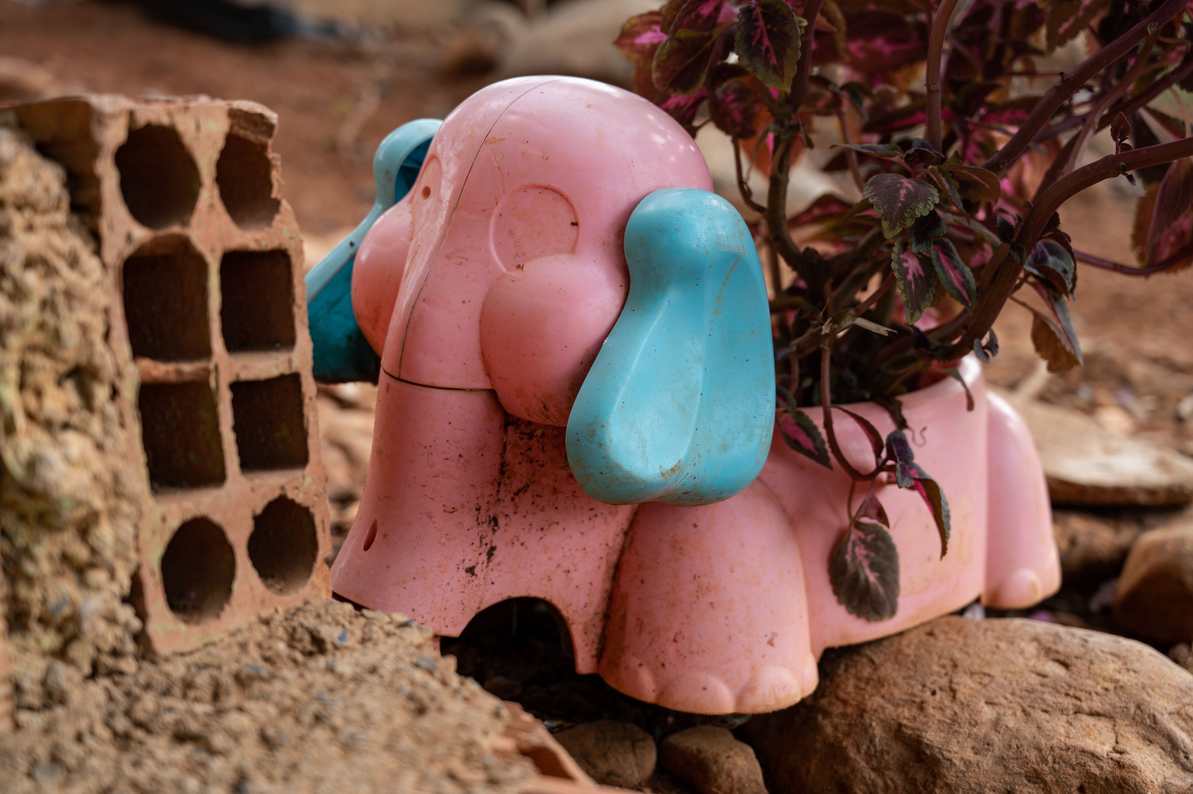 Et rosa og blått elefantleketøy har blitt gjenbrukt til en plantepotte. Planten oppi er grønn og mørkerød.